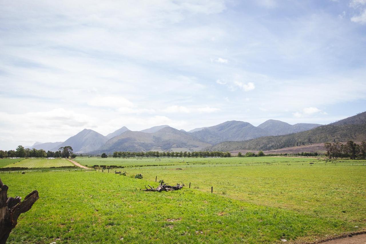Tsitsikamma Cottages Witelsbos Exterior foto